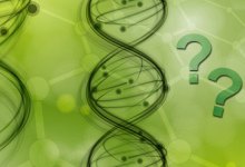 Avoiding Miracles and Emphasizing Naturalism in Science Teaching