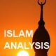 Islam Analysis (18): Discover what drives efficient innovation