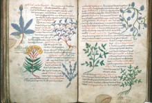 Is There Such a Thing as Islamic Science?