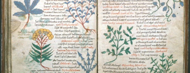 Is There Such a Thing as Islamic Science?