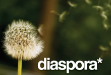 SciDev.Net: The Muslim Diaspora – From Brain Drain to Brain Gain?