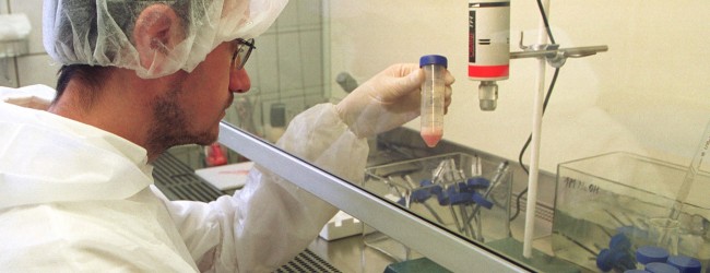 localhost/muslim Supports Scientists Perception and Motivation Study