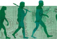 Complex Islamic response to evolution emerges from study