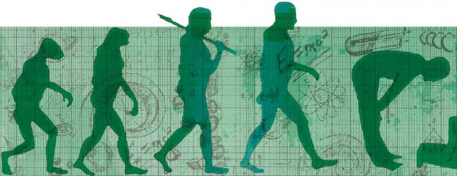 Complex Islamic response to evolution emerges from study