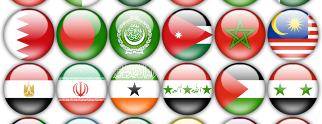 Islamic countries need broader vision for development