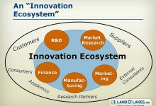 Islam Analysis (24): Building a healthy innovation ‘ecosystem’