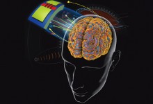 Nature inspires advances in silicon electronics