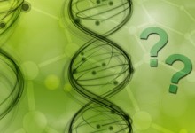 Avoiding Miracles and Emphasizing Naturalism in Science Teaching