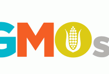 Biological safety lock for GMO