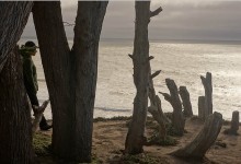 A Tenacious Explorer of Abstract Surfaces