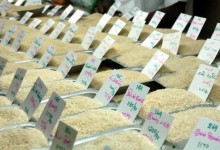 Can science help improve food security?