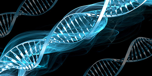 Islamic Bioethics in the Twenty-First Century