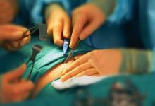 Organ Trafficking in the Muslim World