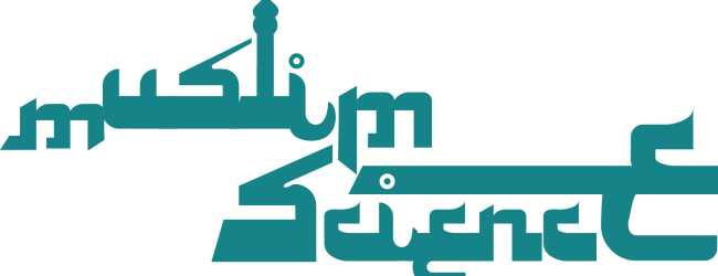 Nidhal Guessoum, Prof Physics, American University of Sharjah, UAE