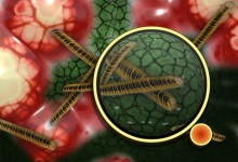 Portable lamp kills antibiotic-resistant bacteria