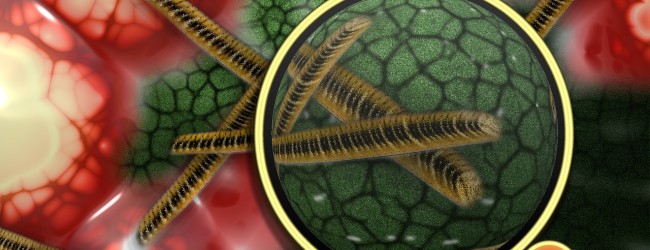 Portable lamp kills antibiotic-resistant bacteria