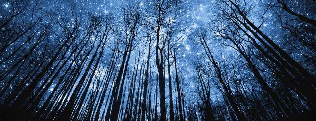 Task Force Essay: Islam, Science, Methodological Naturalism, Divine Action, and Miracles