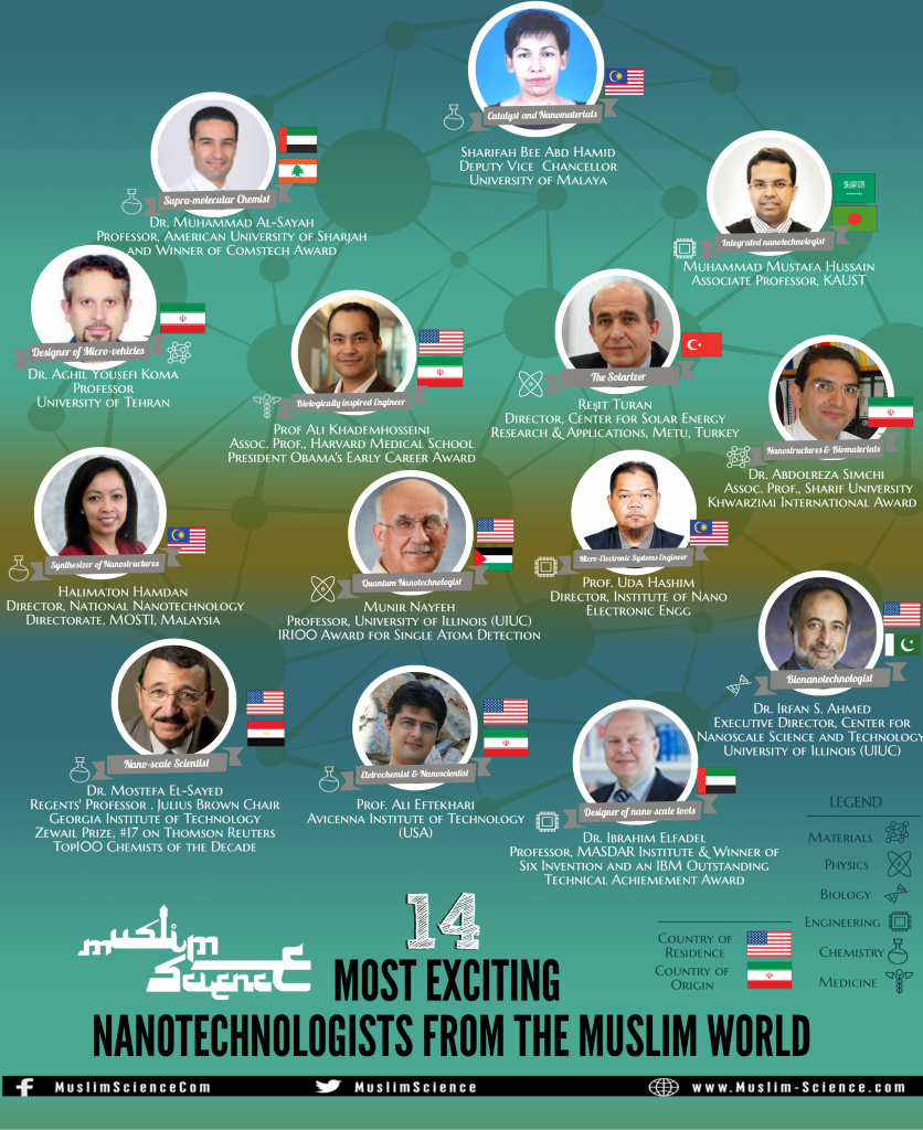 Untitled Infographic