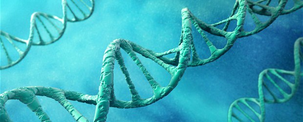 Task Force Essay: Modern Science and Challenges to Some Islamic Theological Doctrines