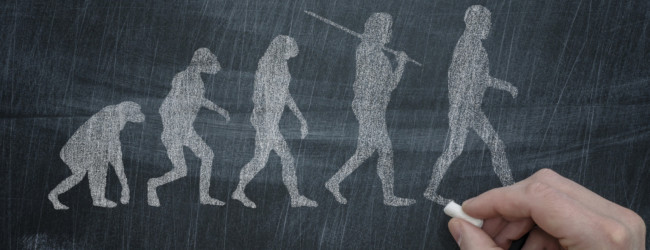 Task Force Essay: Evolution and Islam – Is there a contradiction?