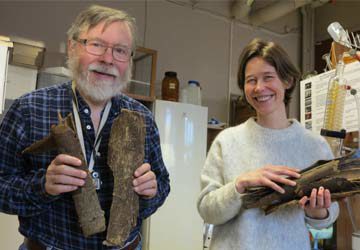 Mali trees can kill the Malaria carrying mosquito and its parasite