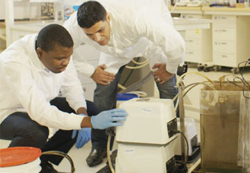 UAE scientists turn sewage into fertilizer through new 3 step process