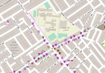 Tunisian Youth find ways to solve civic problems with technology