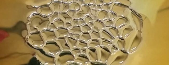 17 year old Pakistani Student gains global recognition for his work, aspires to win a Nobel Prize someday